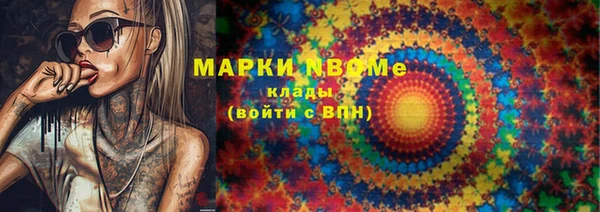 шишки Верея