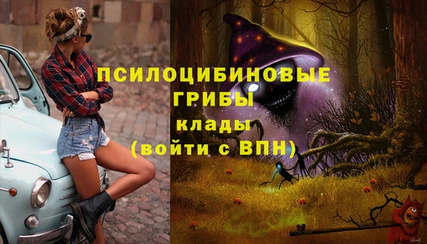 прущая мука Остров